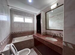 The Balmoral Spring (D10), Apartment #480566181